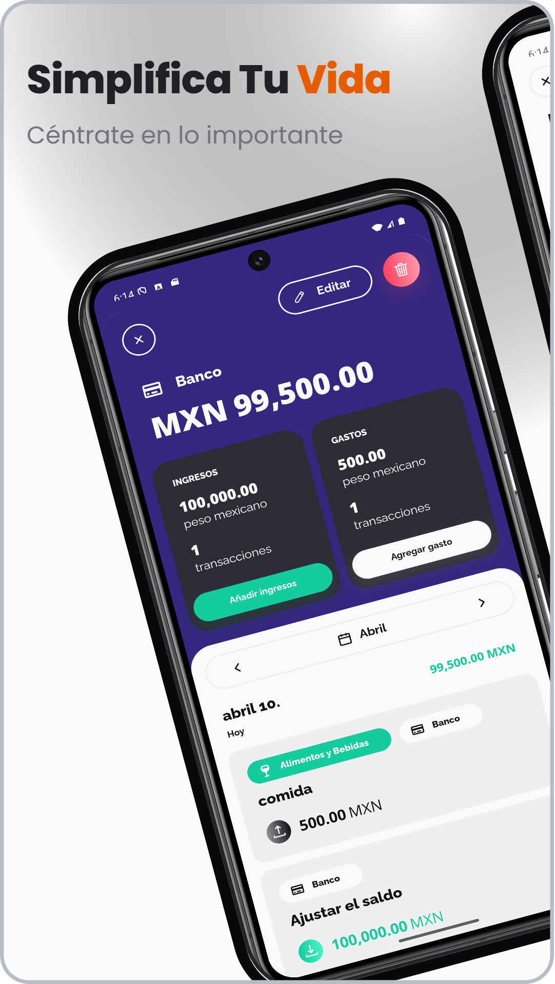 Captura de Vault Wallet: Control Gastos