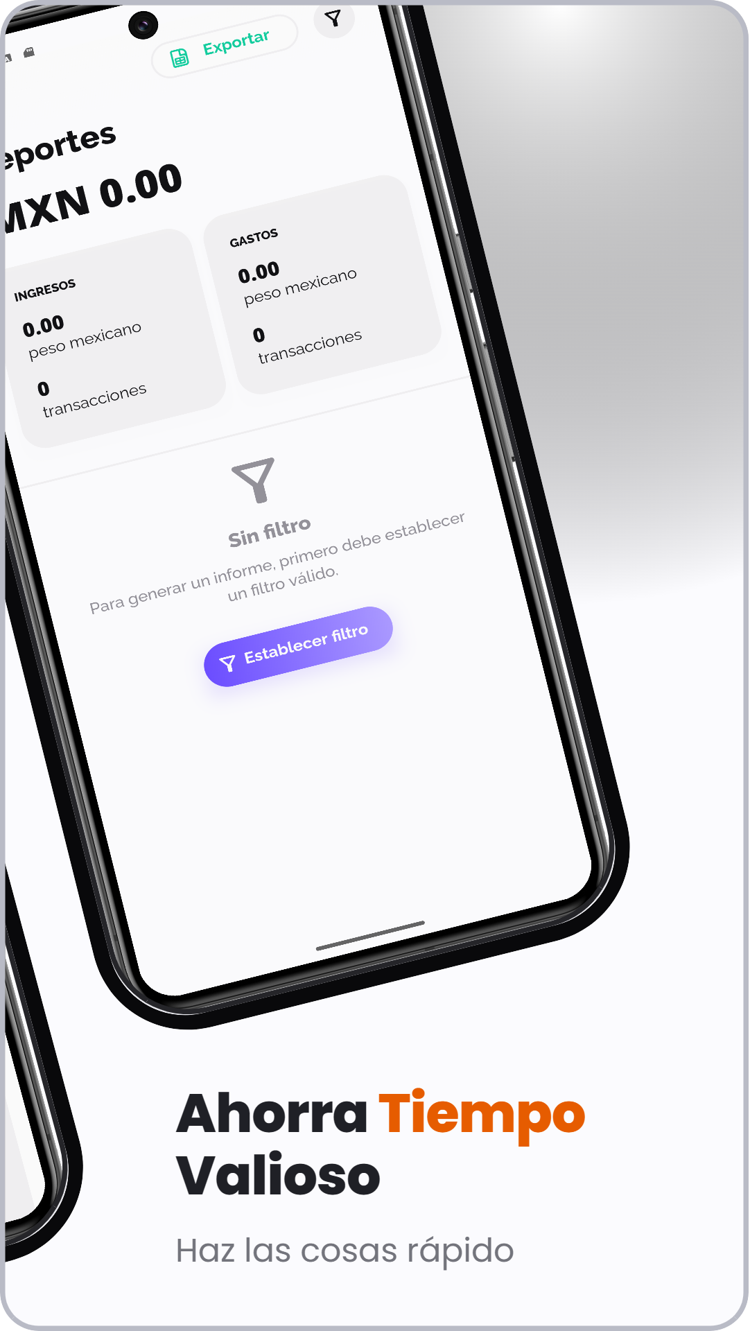 Captura de Vault Wallet: Control Gastos