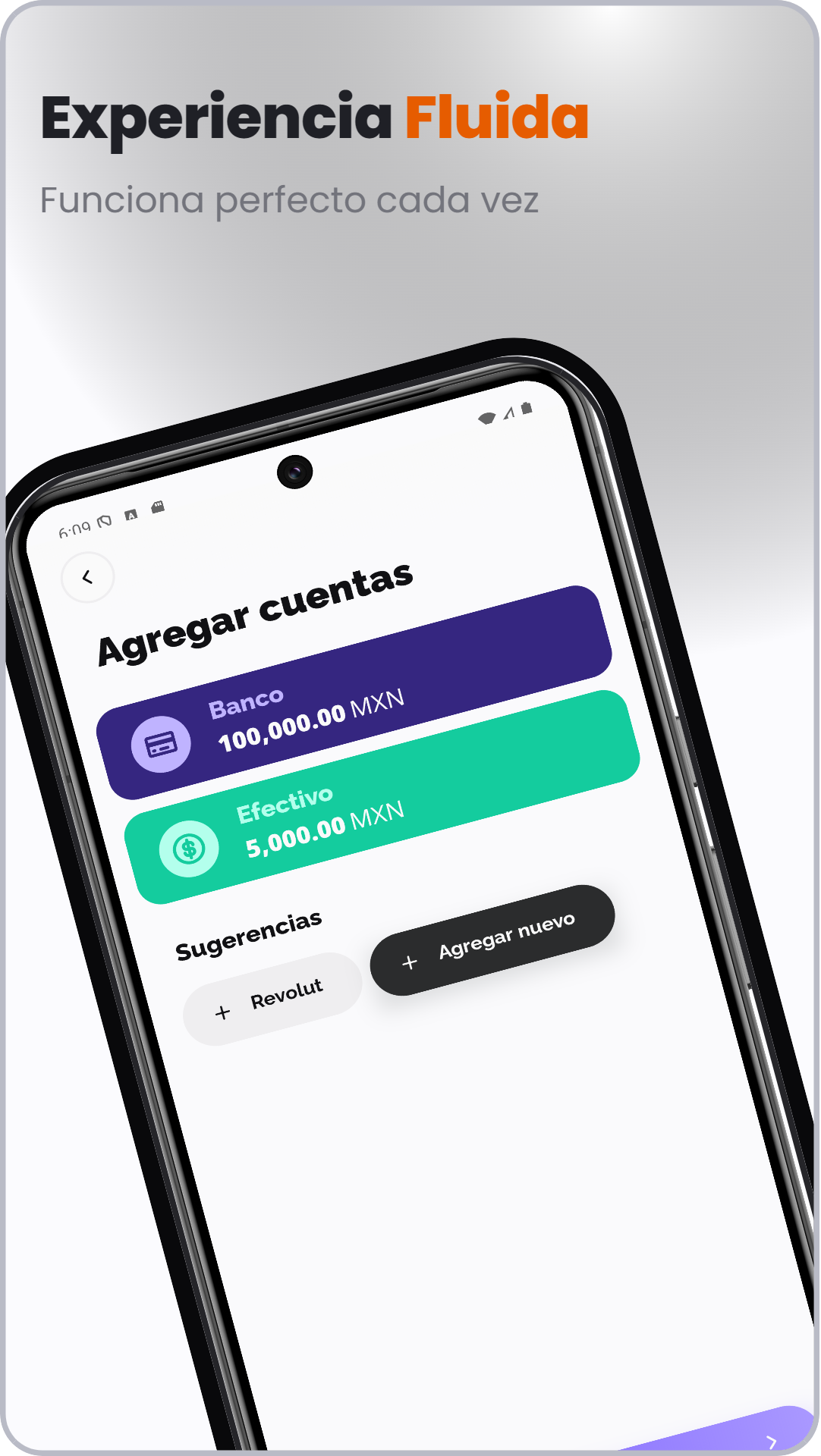 Captura de Vault Wallet: Control Gastos